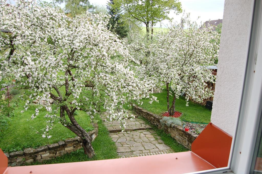 Penzion Belvia Nová Lesná المظهر الخارجي الصورة