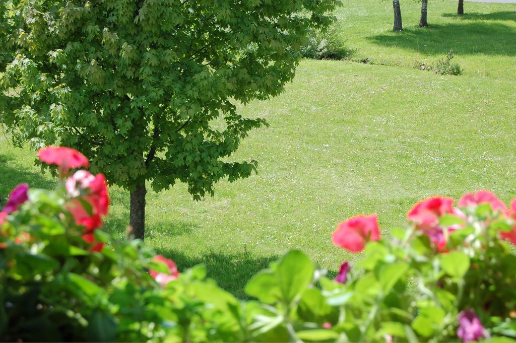 Penzion Belvia Nová Lesná المظهر الخارجي الصورة